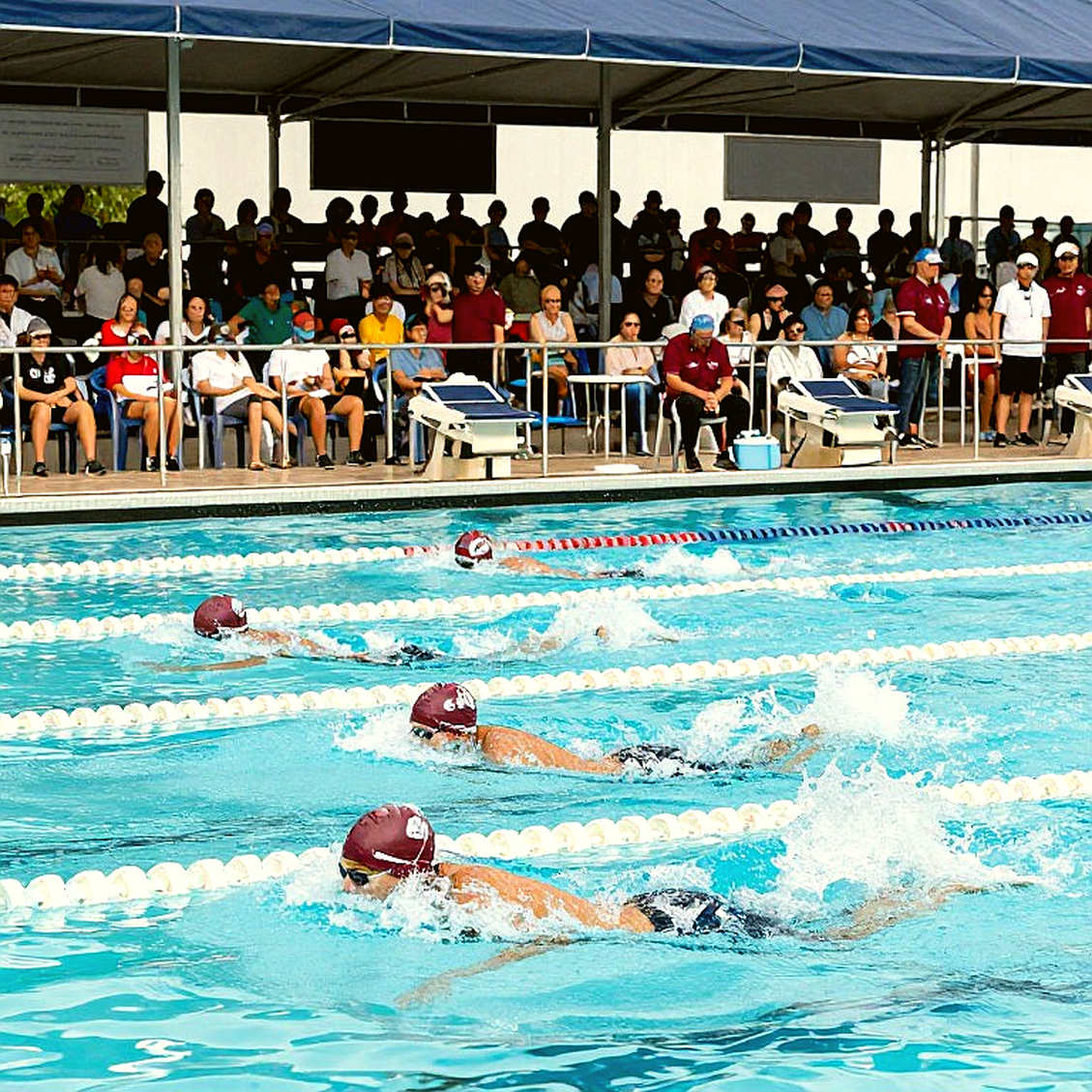 Ben Armbruster Clocks 22.00 at the Australian Short Course Championships: A Home-Soil Record and 17th on the All-Time World List