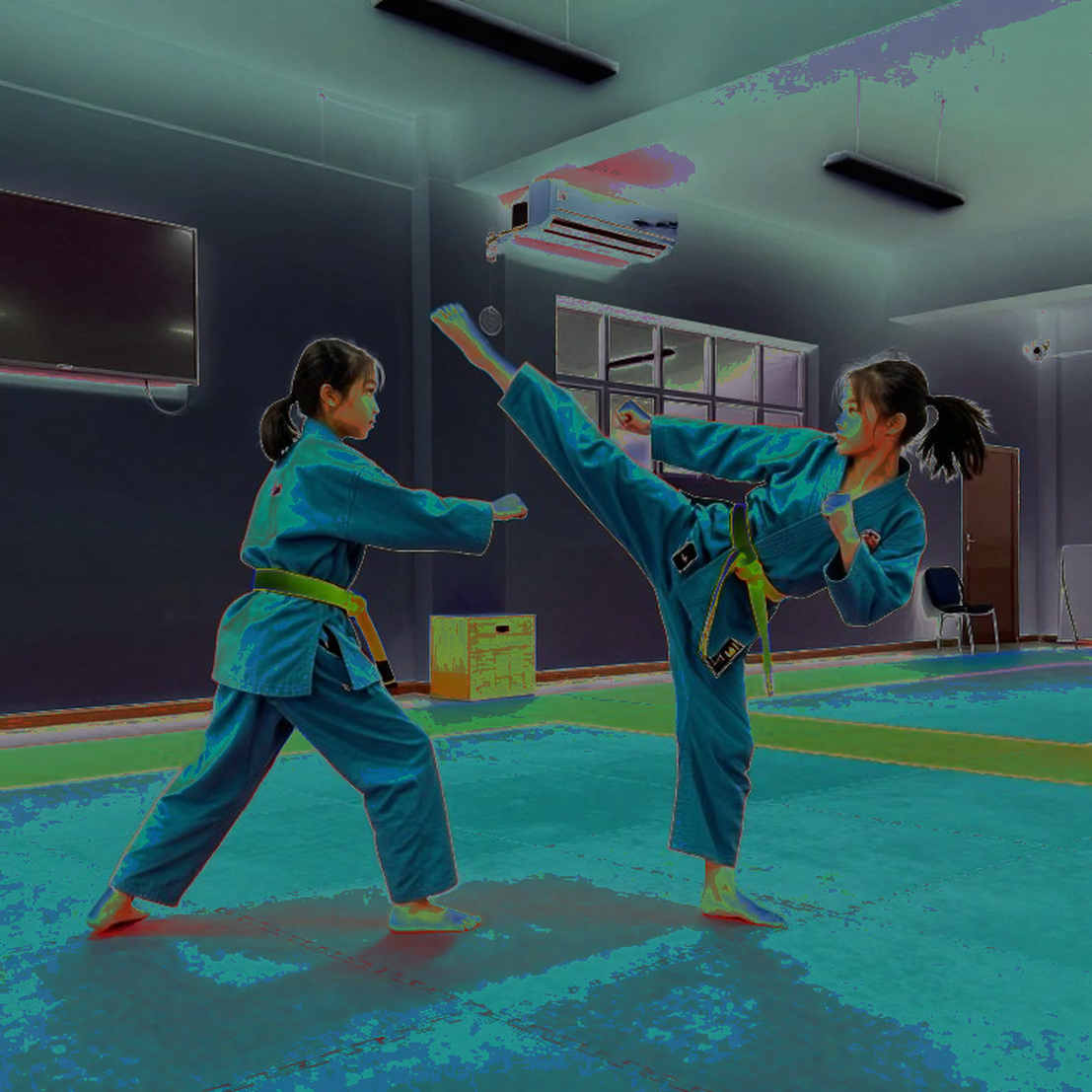 Taekwondo Việt Nam và tấm HCV thế giới 2026: Đọc lại một chiến thắng bằng dữ liệu thô