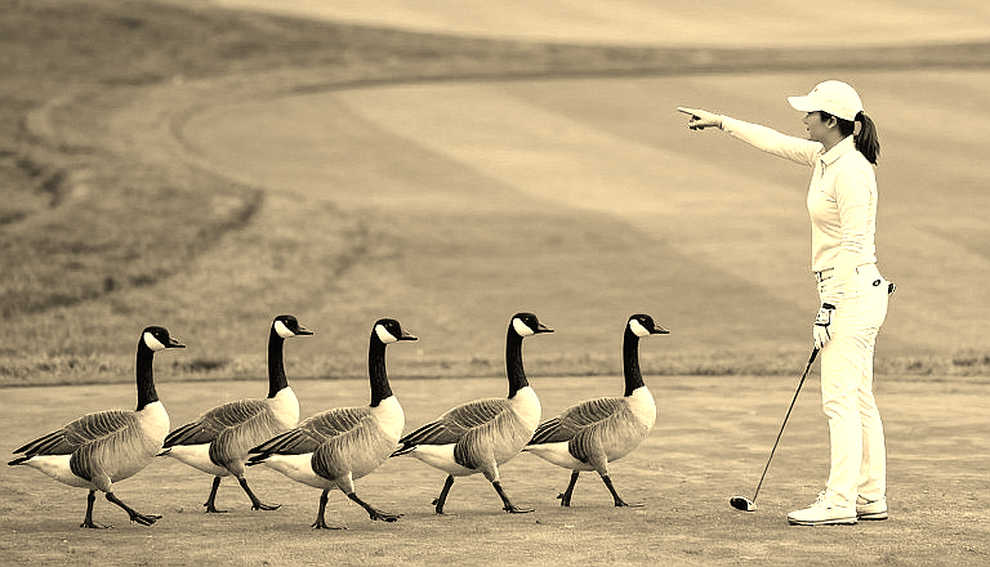 Tiger Woods có được lái xe golf không? Câu hỏi khiến công tố viên bang Florida 'bó tay'